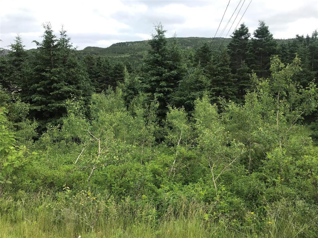 0 Snows Lane Road, North River, NL