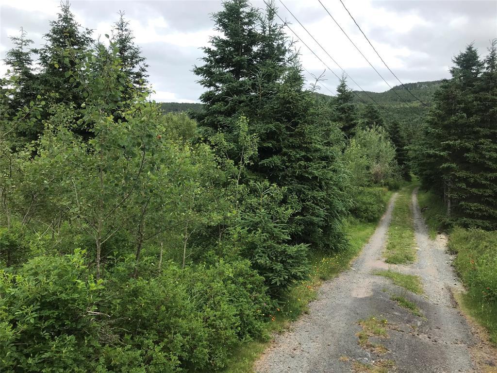 0 Snows Lane Road, North River, NL
