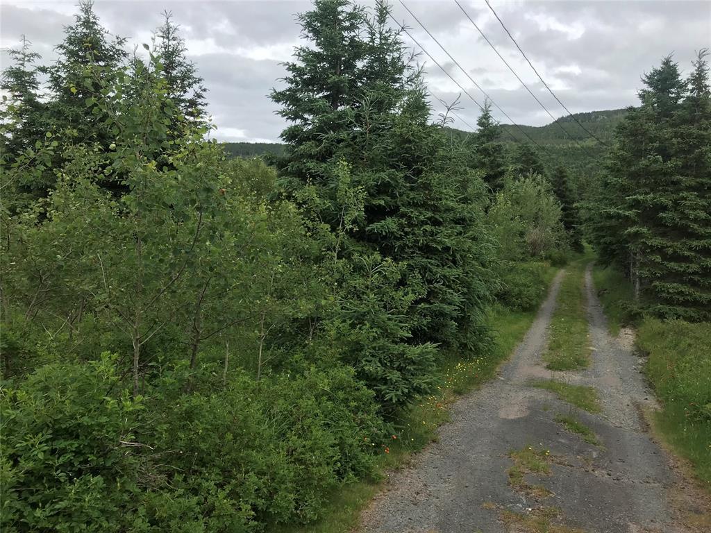 0 Snows Lane Road, North River, NL