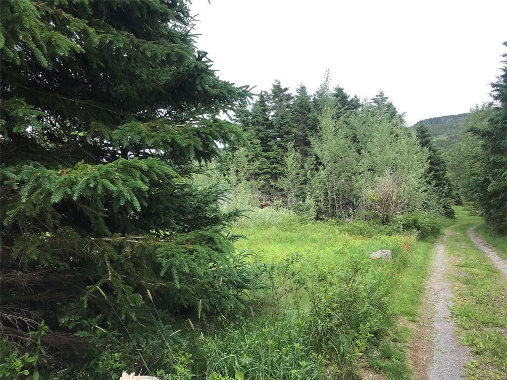 0 Snows Lane Road, North River, NL