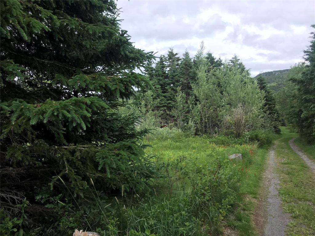 0 Snows Lane Road, North River, NL