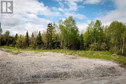 120 Elizabeth Street Unit#PARCEL 045 Corner Brook, NL A2H 6A1