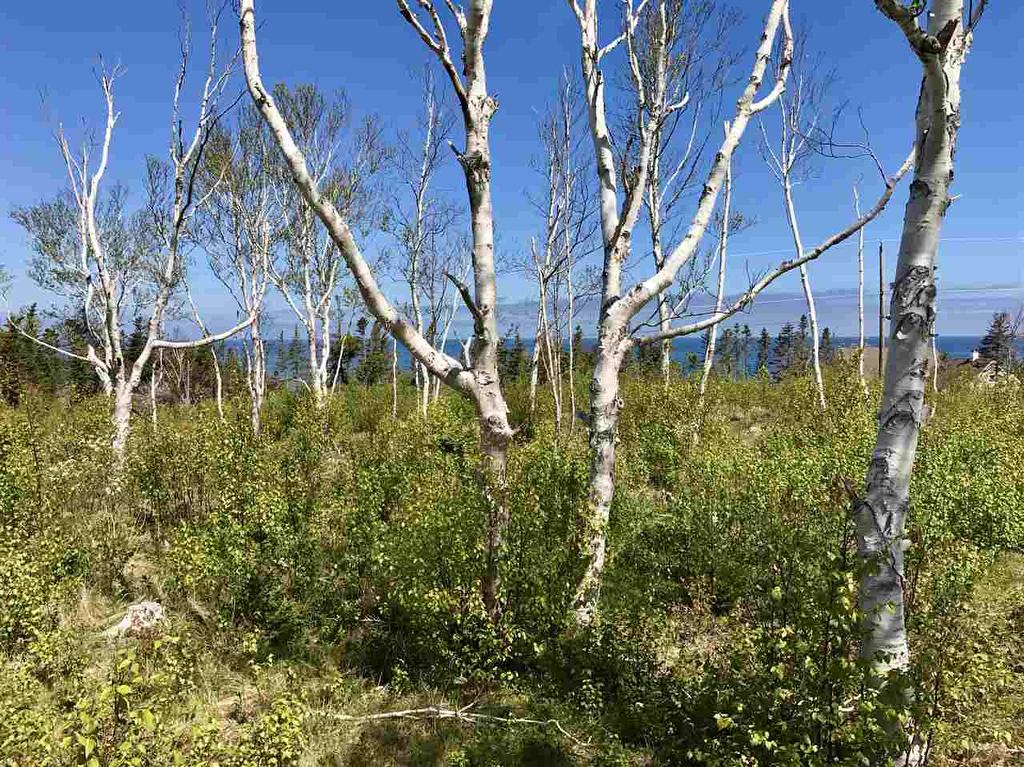 Lot 3 Seabrook Way, Doctors Brook, NS