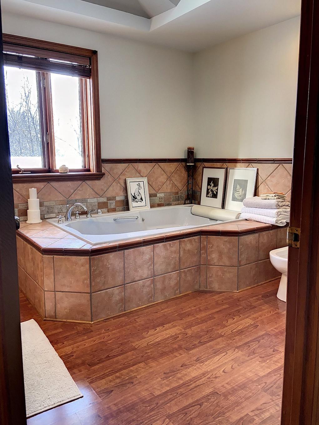 Salle de bains - 9900 Boul. Des Mille-Îles, Laval (Saint-François), QC