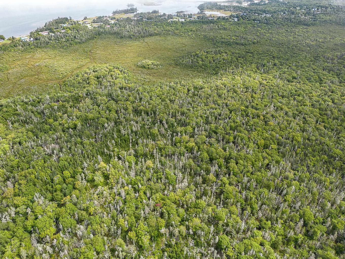 Lot Stoney Island Road, Clam Point, NS