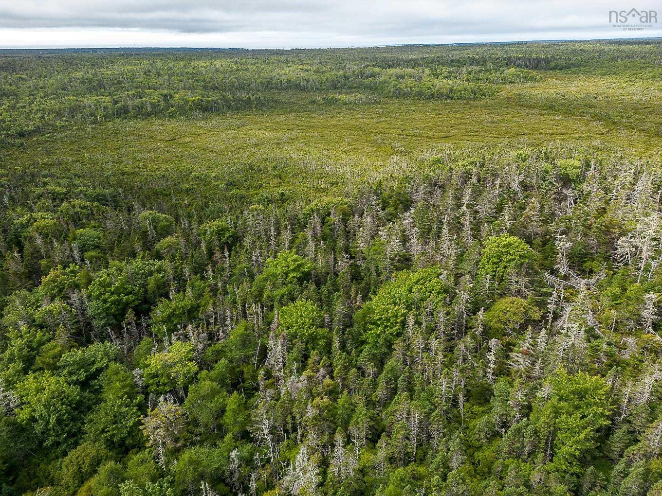 Lot Stoney Island Road, Clam Point, NS