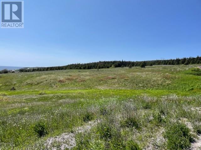 460 Main Route, Felix Cove, NL