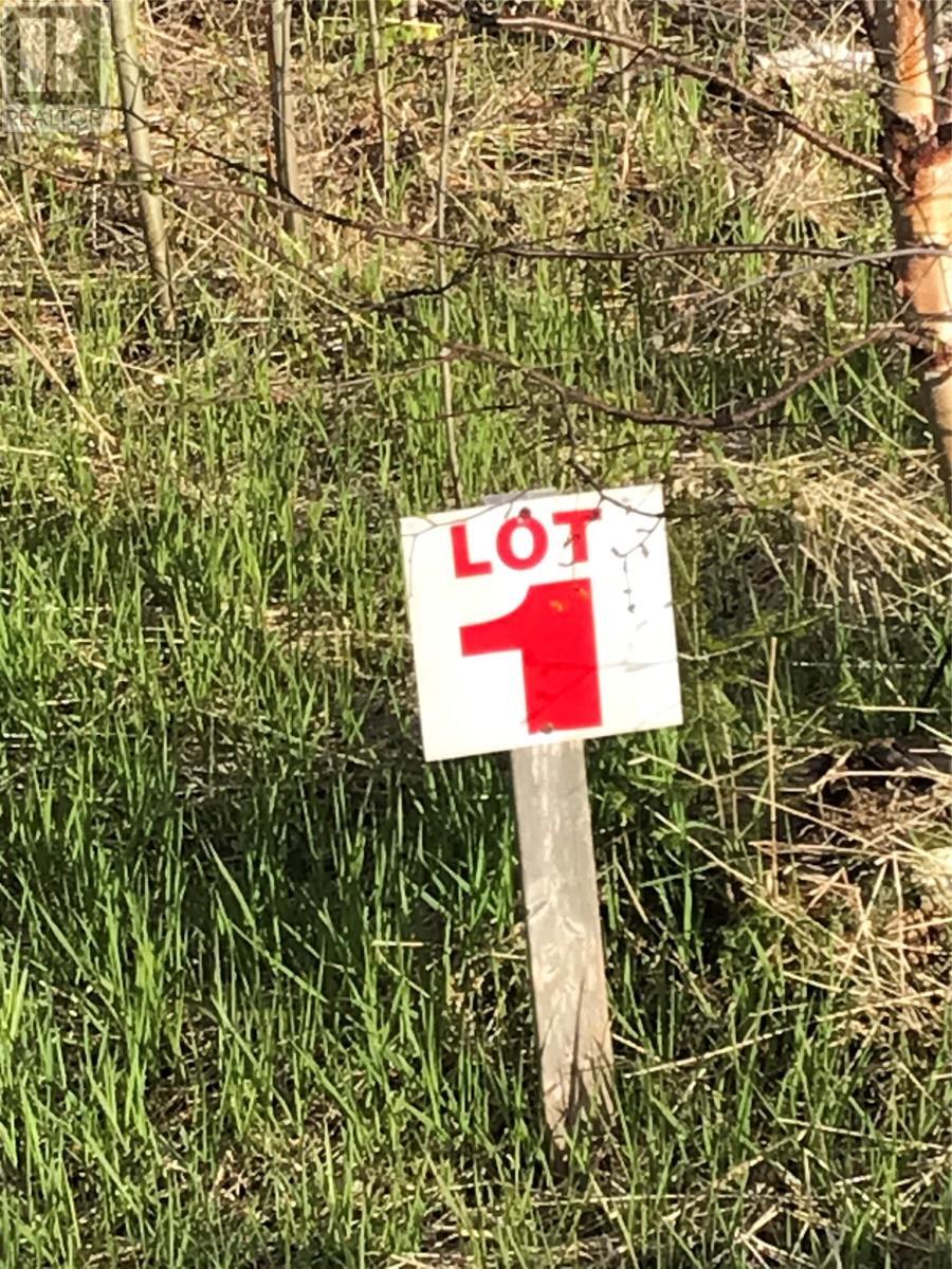 1 Grandview Drive, Musgravetown, NL