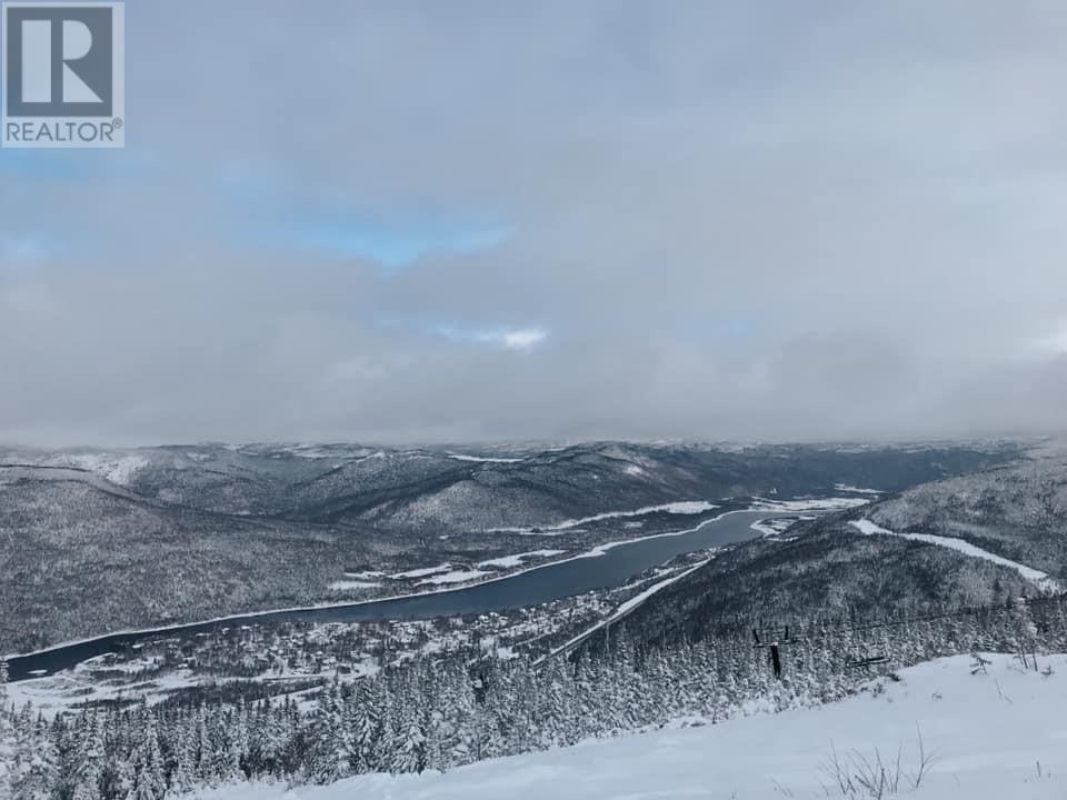 32 Harvey Wight Crescent, Pasadena, NL