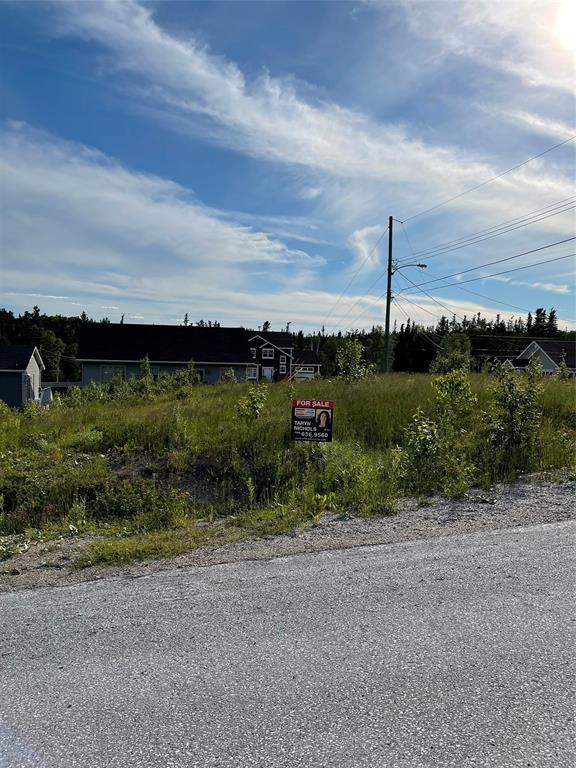 4 Jacks Place, Deer Lake, NL