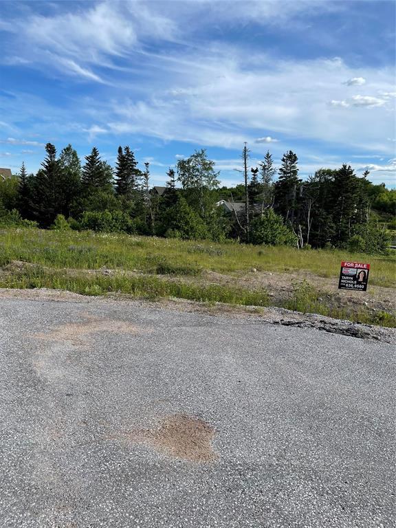 8A Jacks Place, Deer Lake, NL