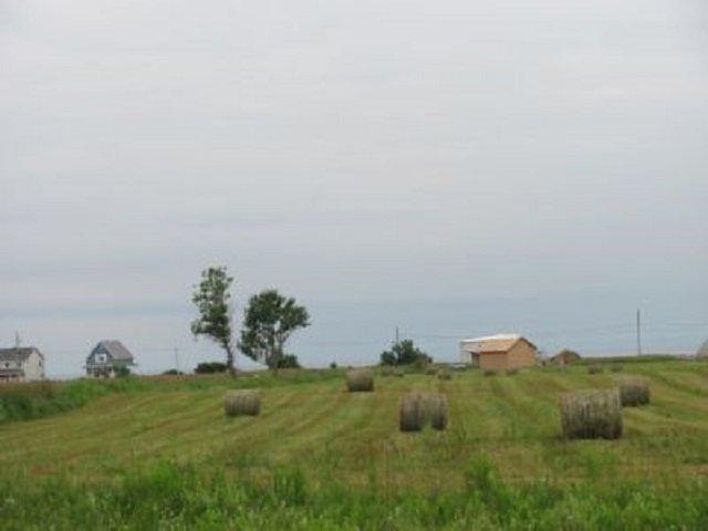 Land/Lot - Rue Bourmer, Bonaventure, QC