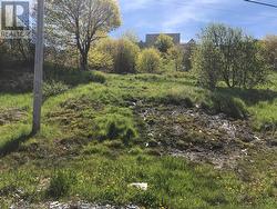 4 Fradshams Lane Corner Brook, NL A2H 1X1