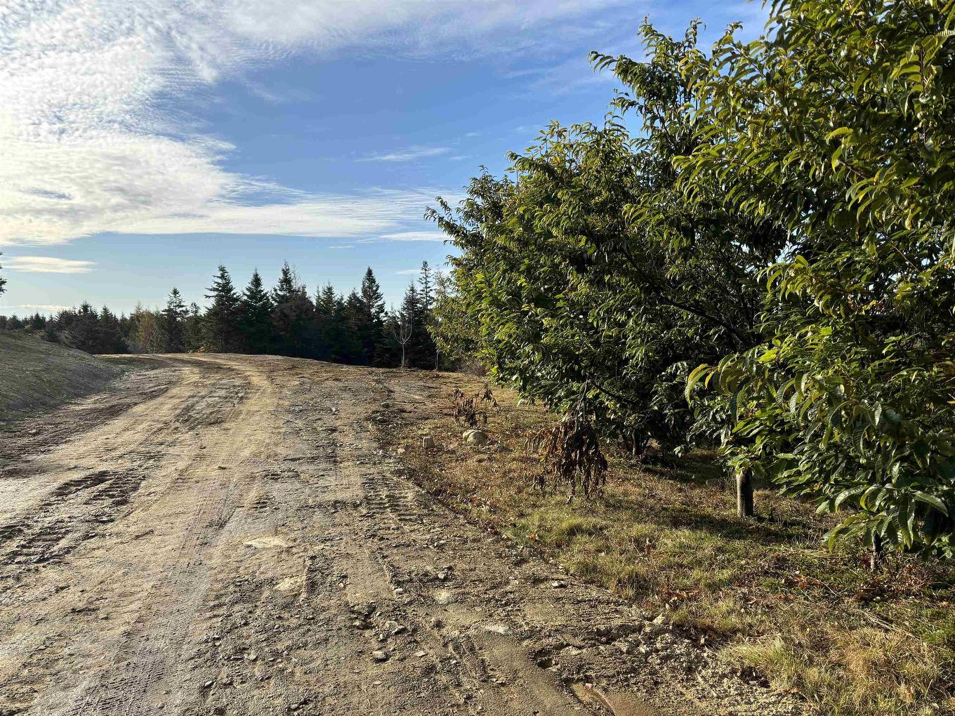 0 Chebogue Road, Arcadia, NS