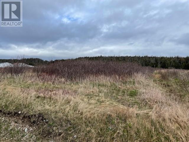 Lot 146 Front Road, Port Au Port West, NL