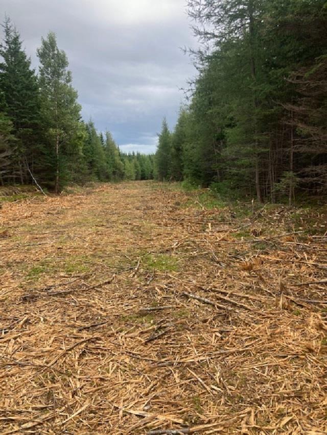 731 Salem Road, Enon, NS