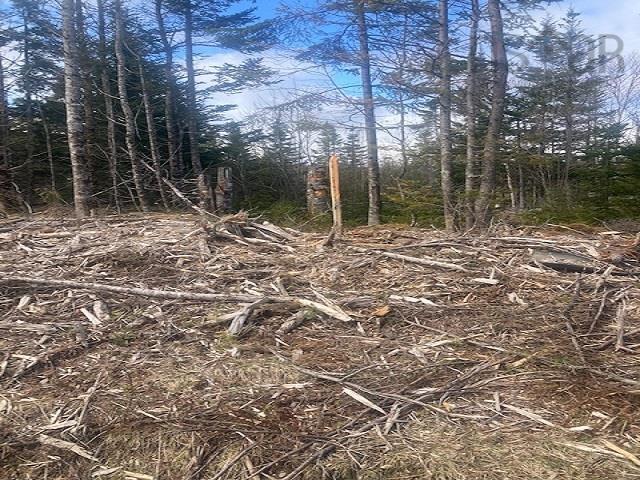 731 Salem Road, Enon, NS