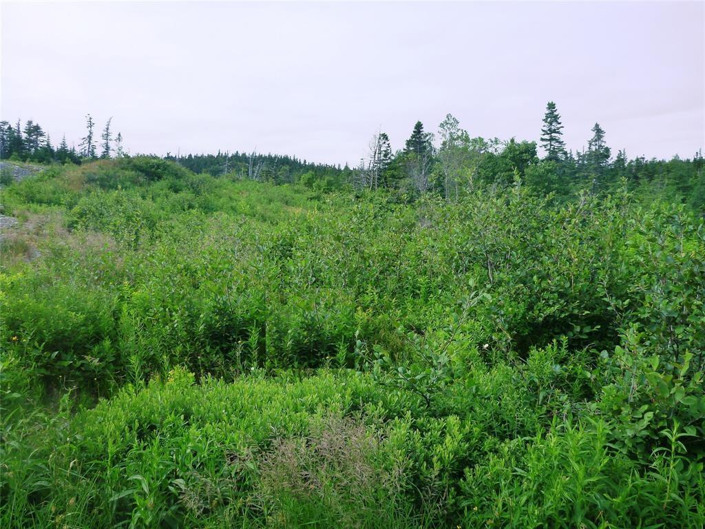 2-4 Snows Pond Road, North River, NL