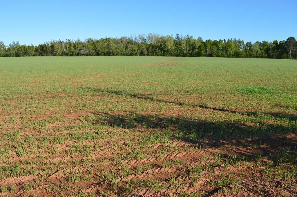 0 Dickie Road, Borden-Carleton, PE