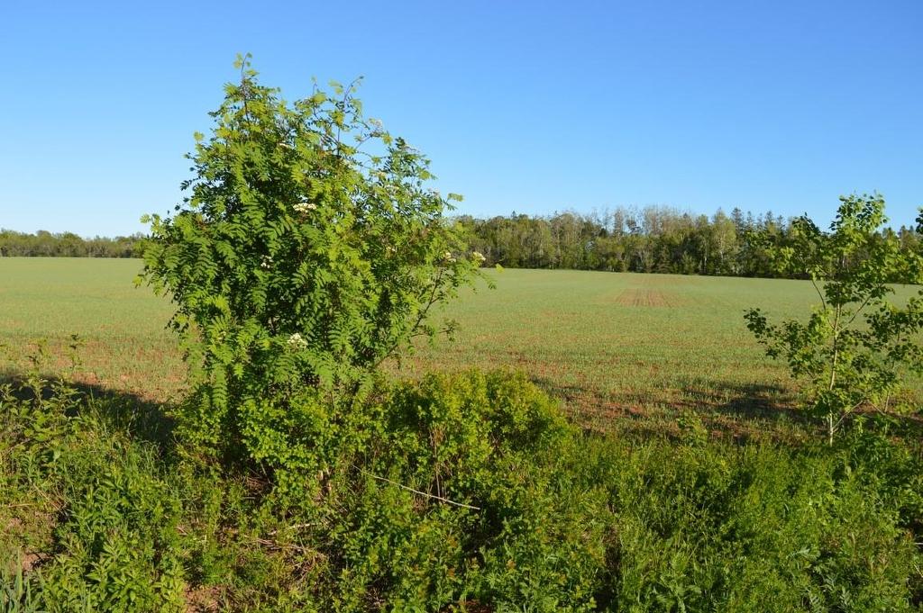 0 Dickie Road, Borden-Carleton, PE