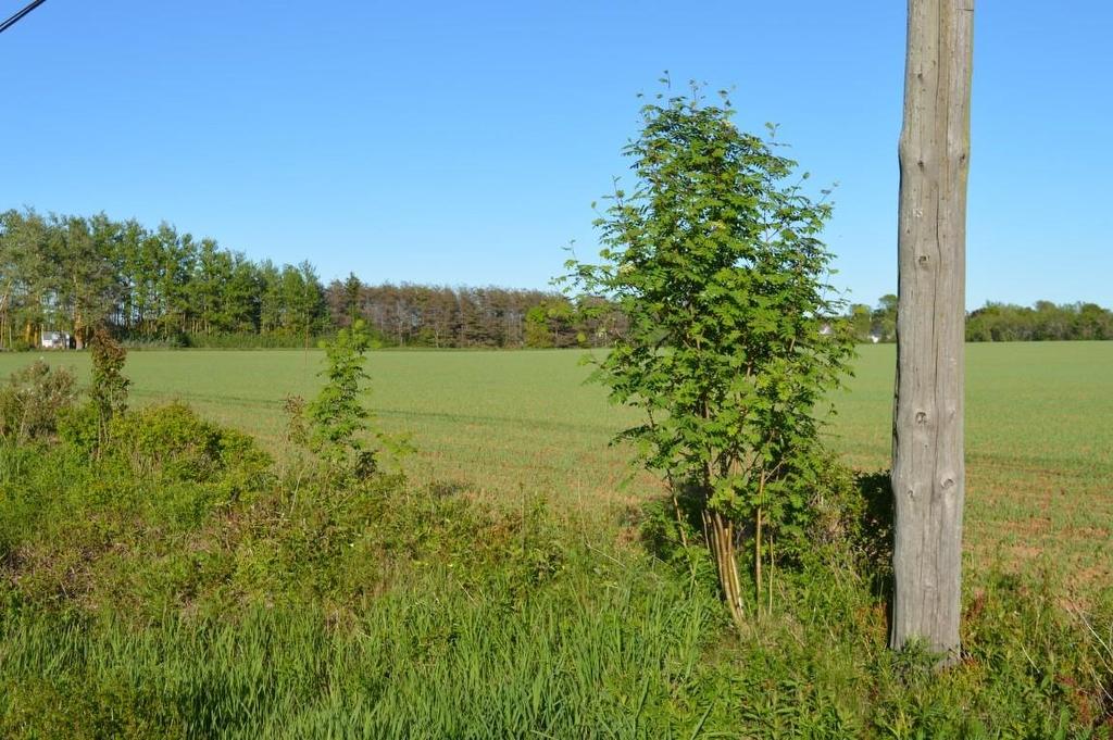 0 Dickie Road, Borden-Carleton, PE