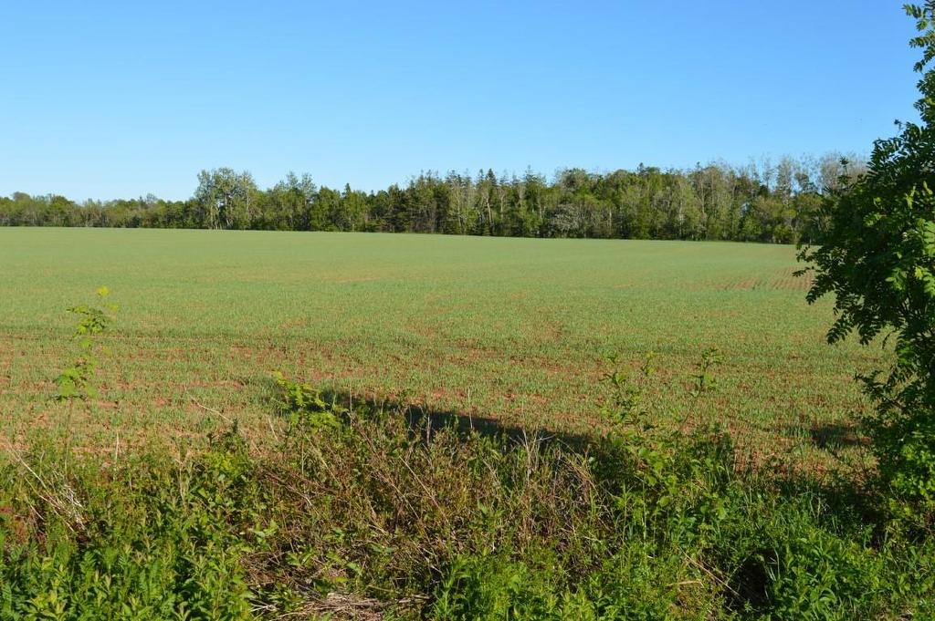 0 Dickie Road, Borden-Carleton, PE