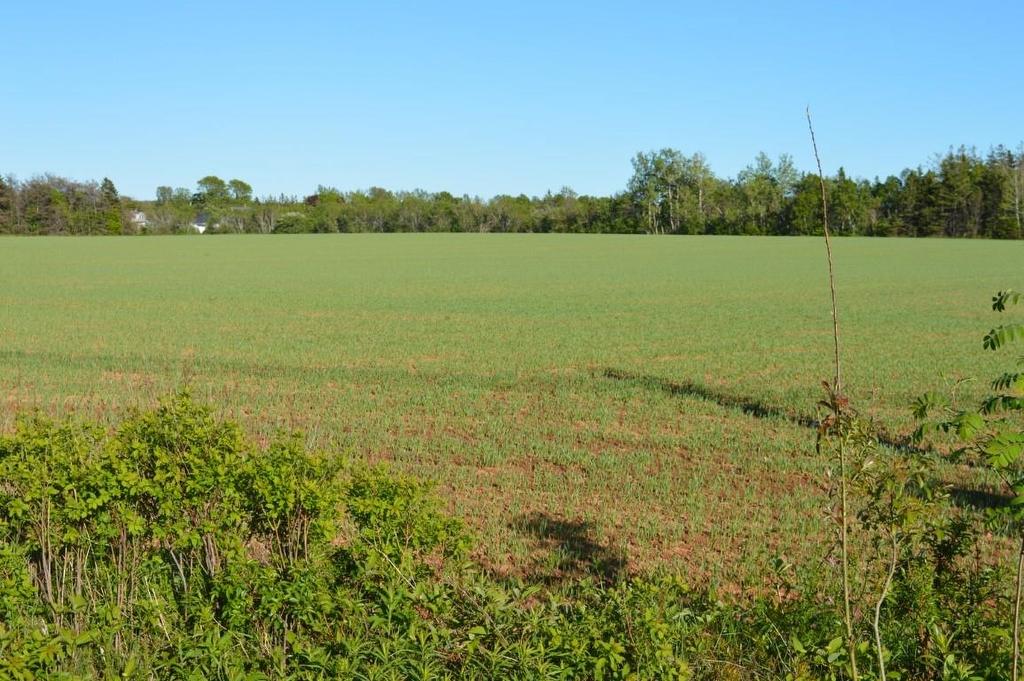 0 Dickie Road, Borden-Carleton, PE