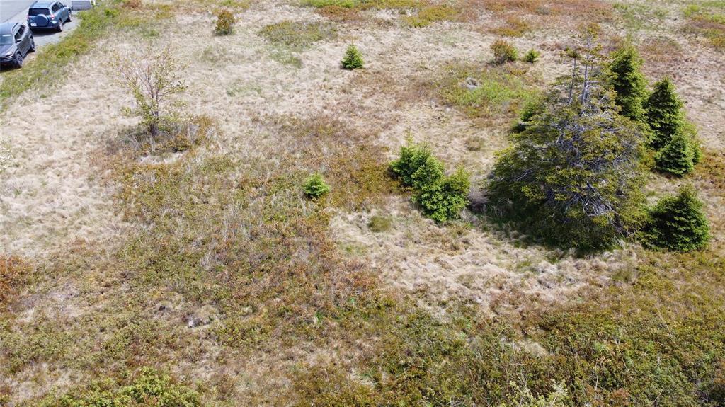 5 Hardings Lane, Bay Roberts, NL