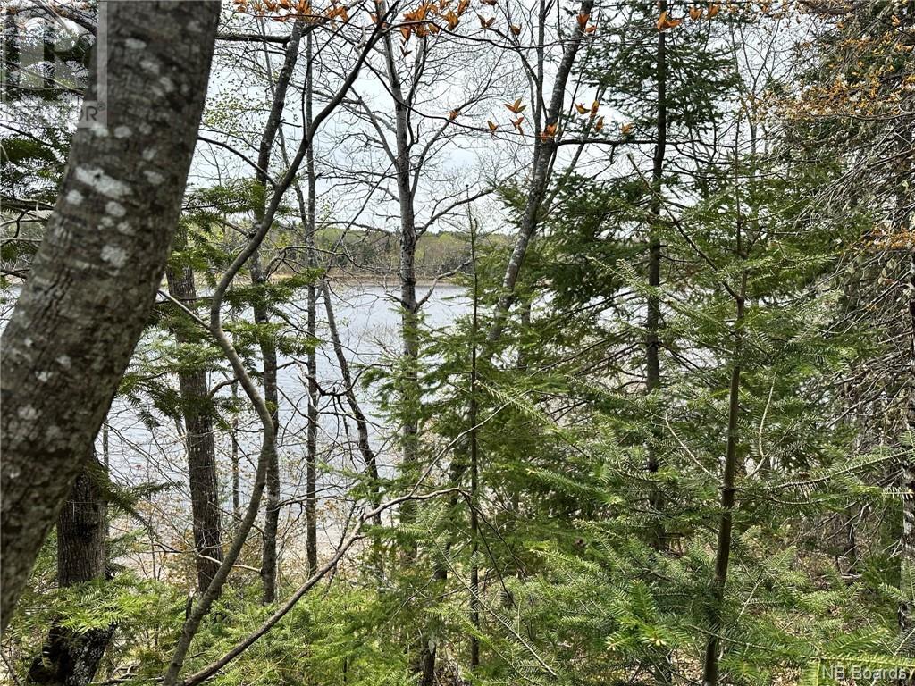 3.34 Hec Route 108, Upper Derby, NB