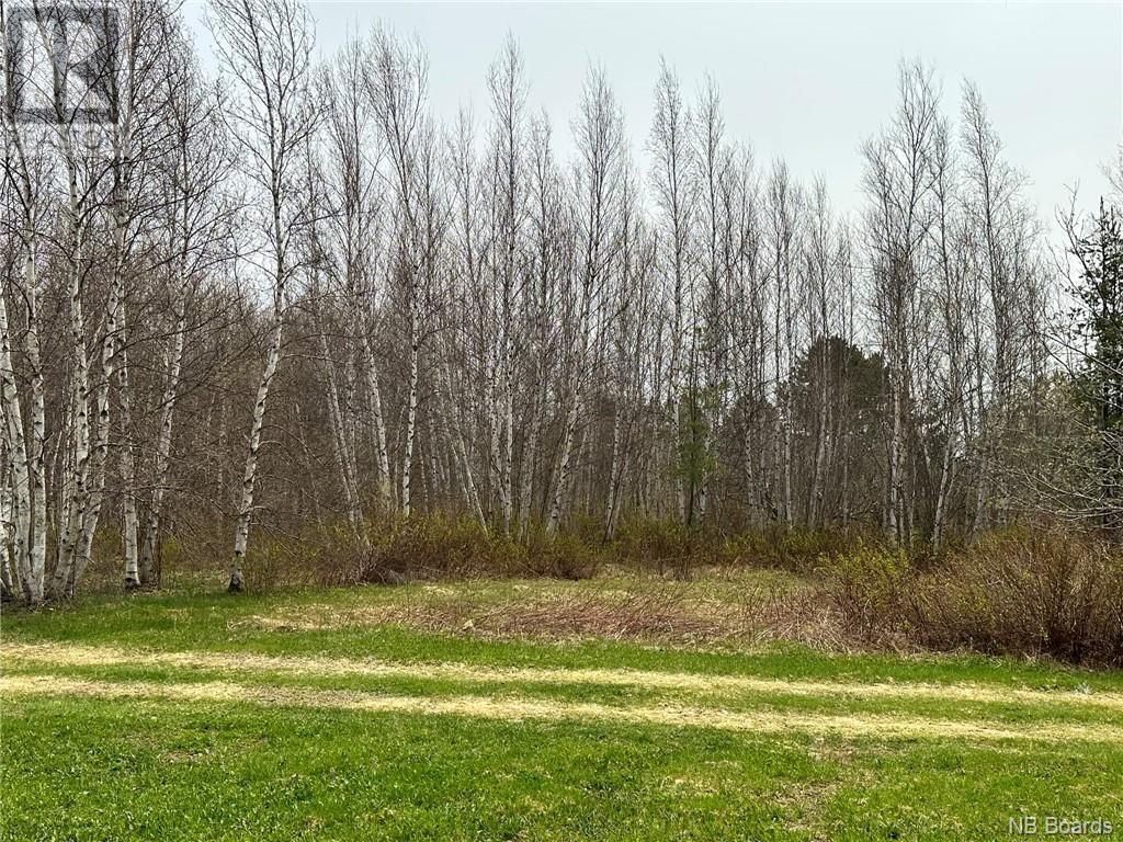 3.34 Hec Route 108, Upper Derby, NB