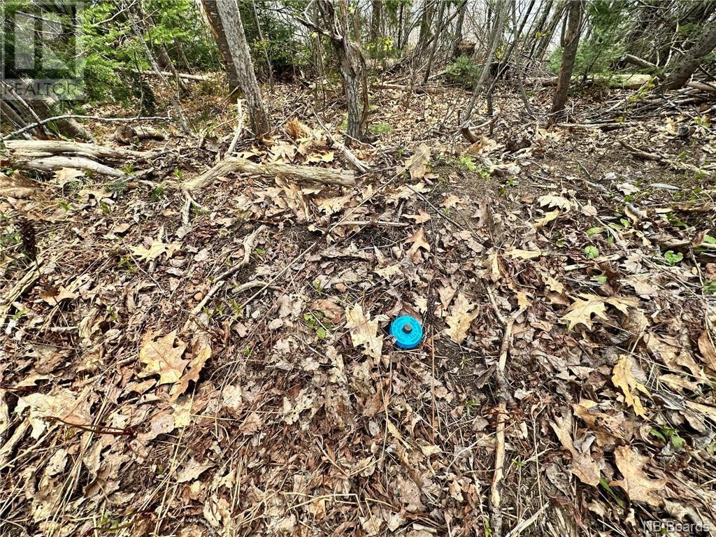 3.34 Hec Route 108, Upper Derby, NB