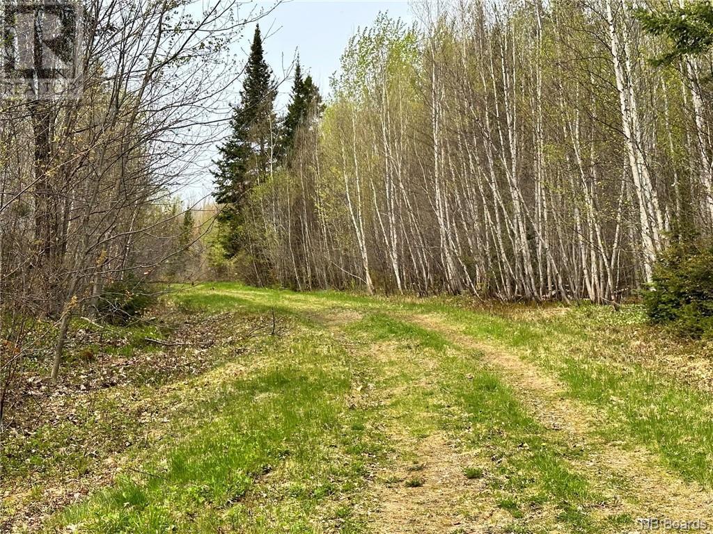 3.34 Hec Route 108, Upper Derby, NB