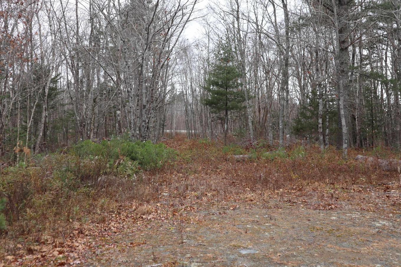 Lot 15 Old Port Mouton Road, White Point, NS