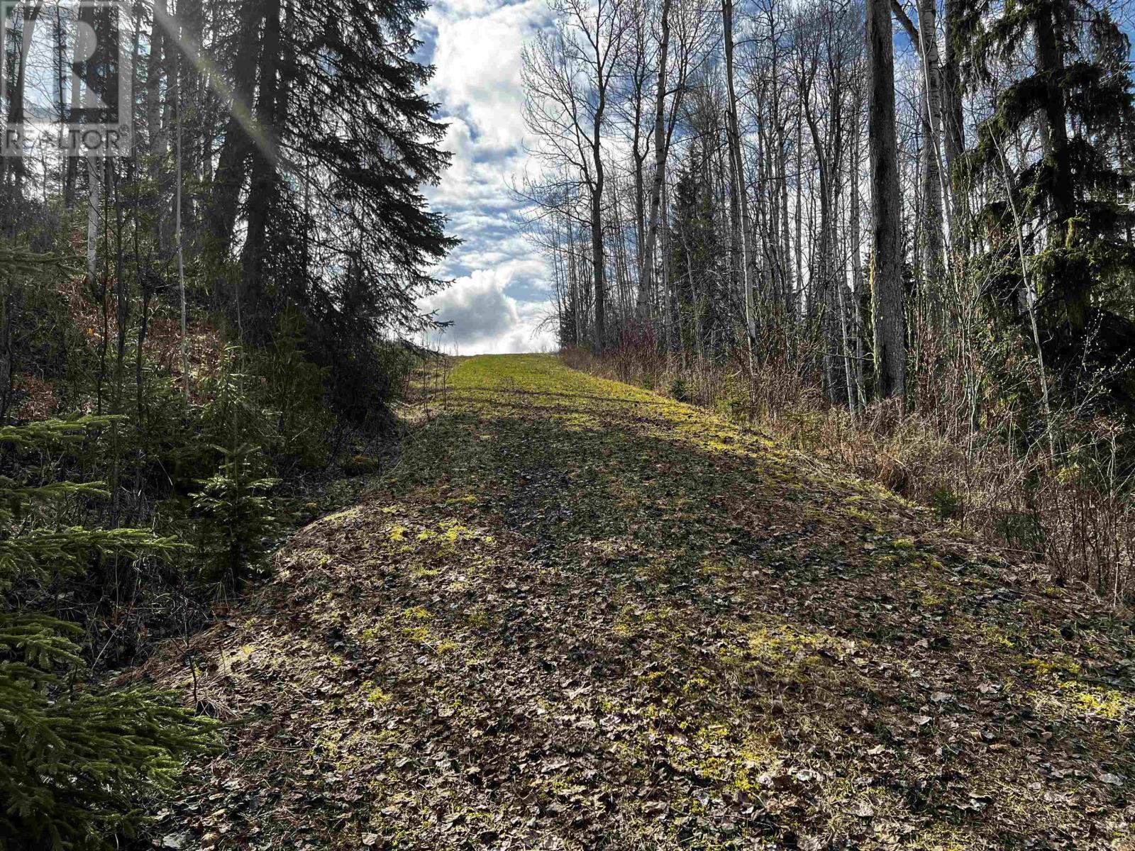 Dl 1132 Telkwa High Road, Smithers, BC