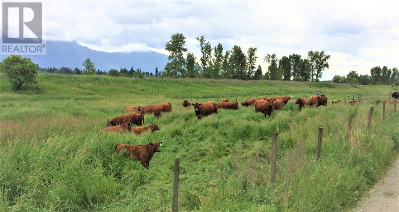 305 Kootenay River Road, Creston, BC