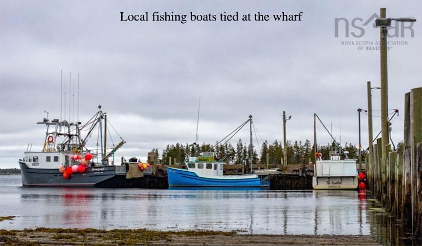 Bark Island, Voglers Cove, NS