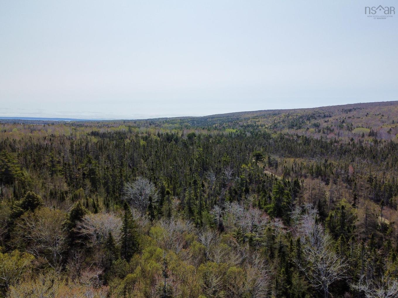 Lot 63 Marble Mountain Road, Malagawatch, NS