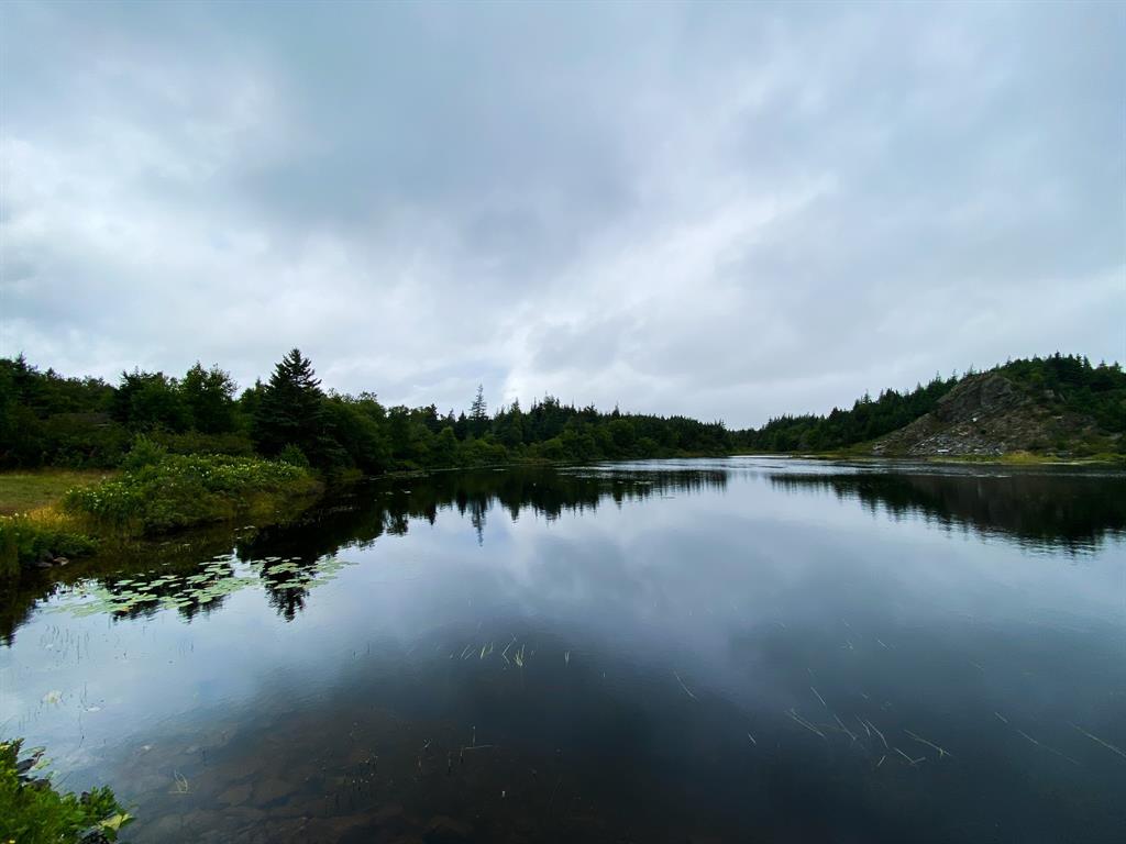 442-446 Conception Bay Highway, Bay Roberts, NL