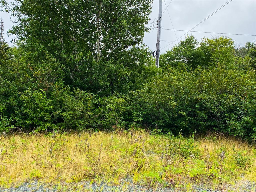 442-446 Conception Bay Highway, Bay Roberts, NL