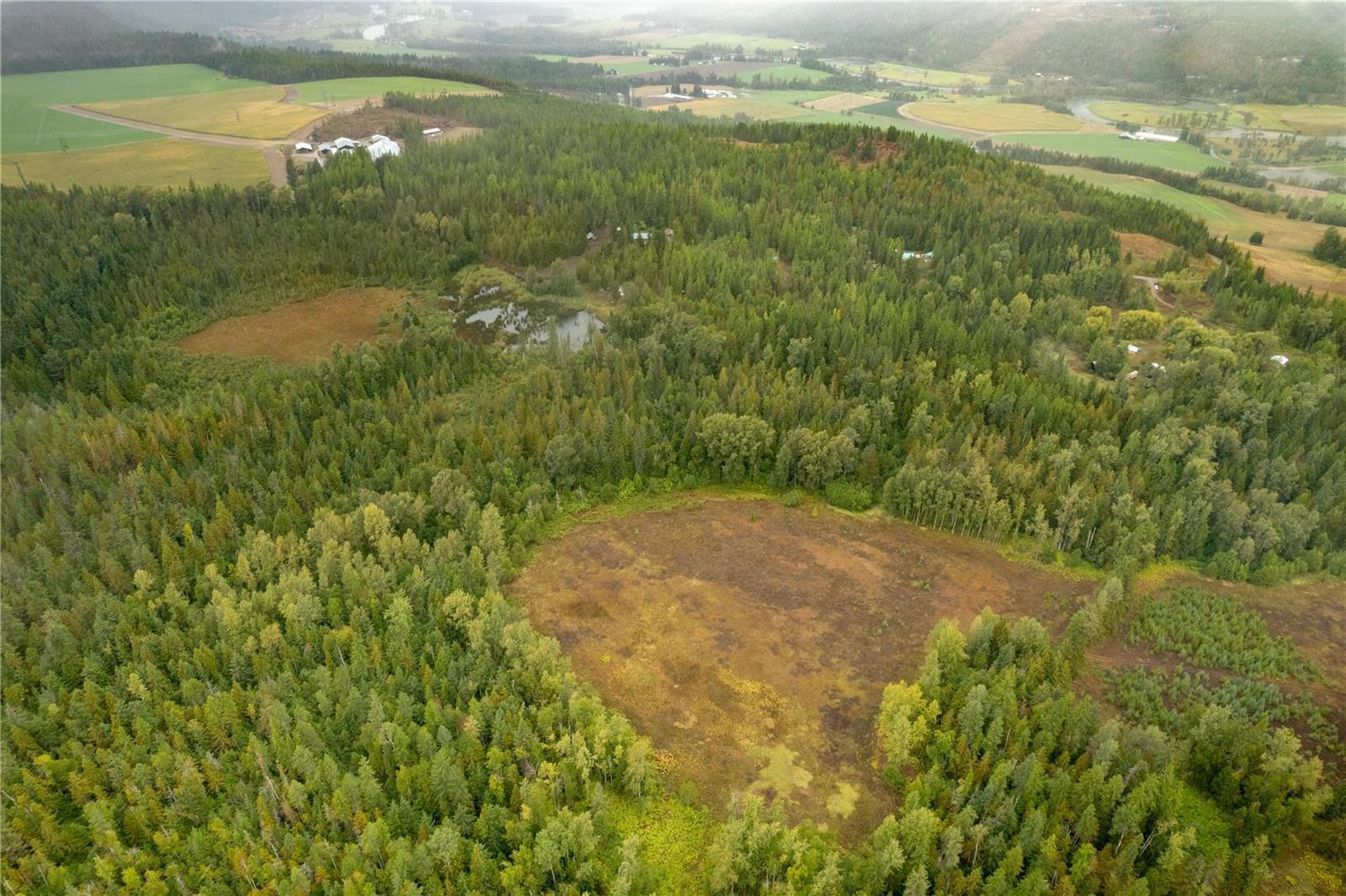 3107 Trinity Valley Road, Enderby, BC