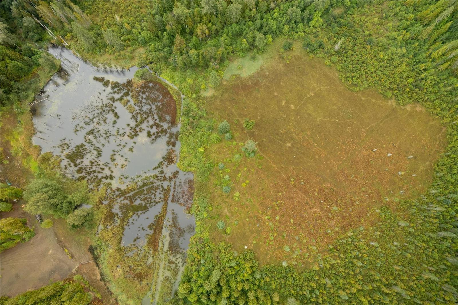 3107 Trinity Valley Road, Enderby, BC
