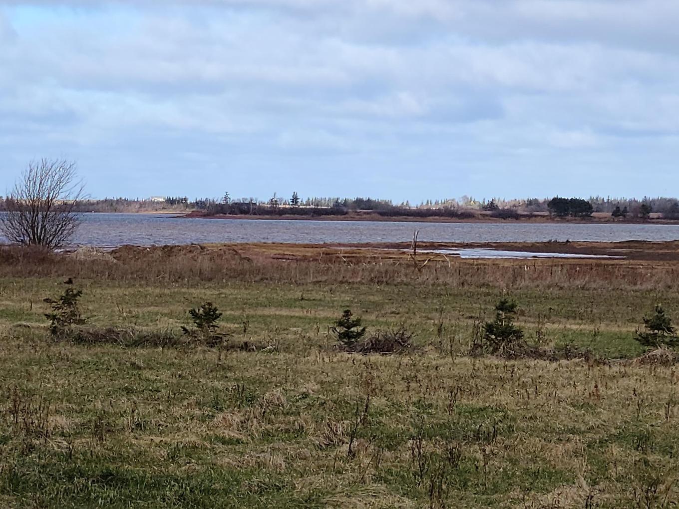 06-13 Sailors Lane, Malpeque, PE