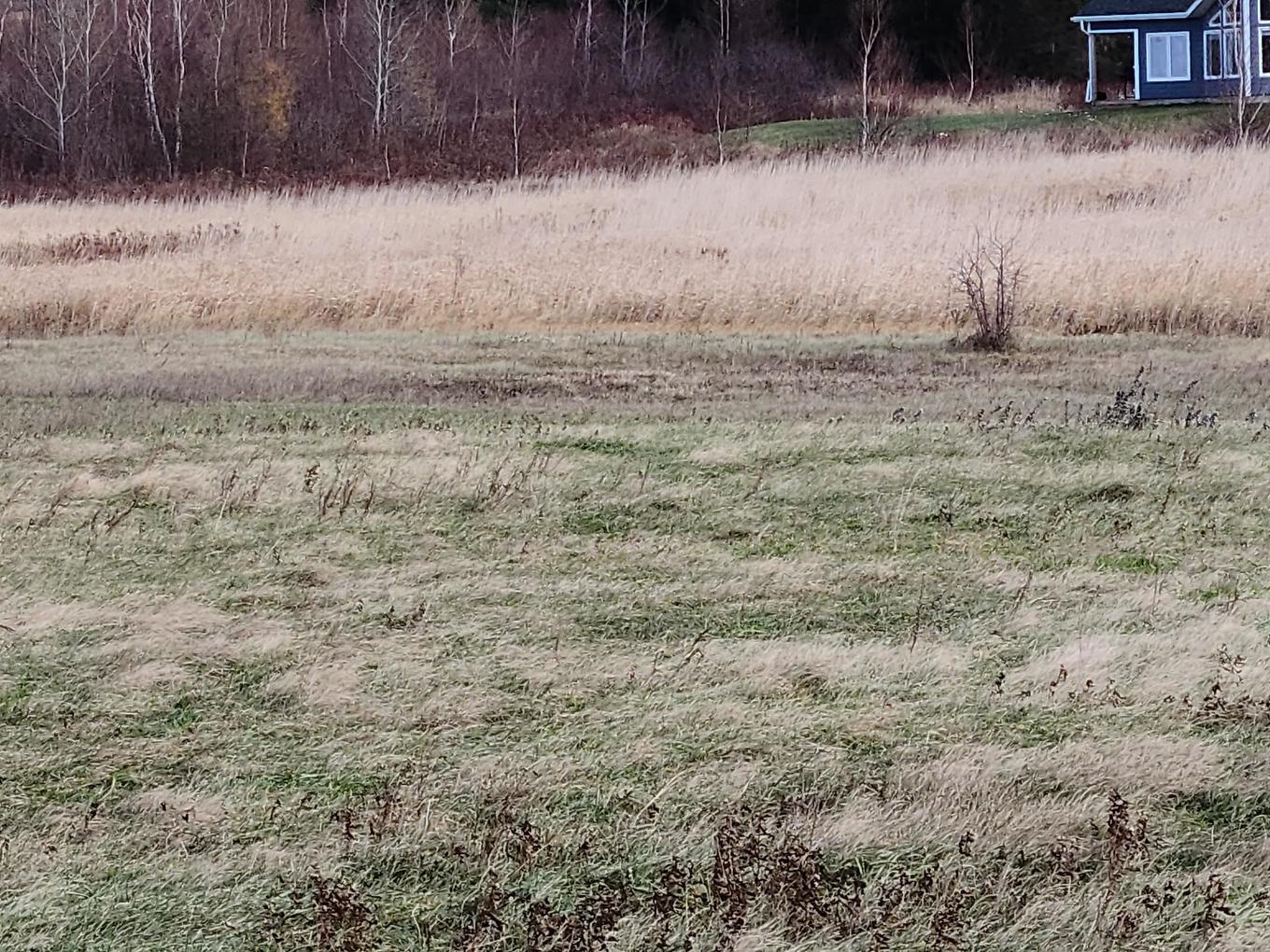 06-13 Sailors Lane, Malpeque, PE