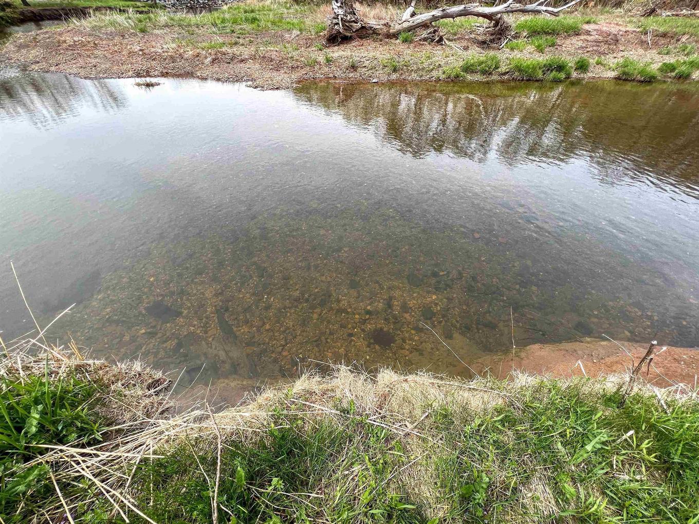 5161 East River Road, Plymouth, NS