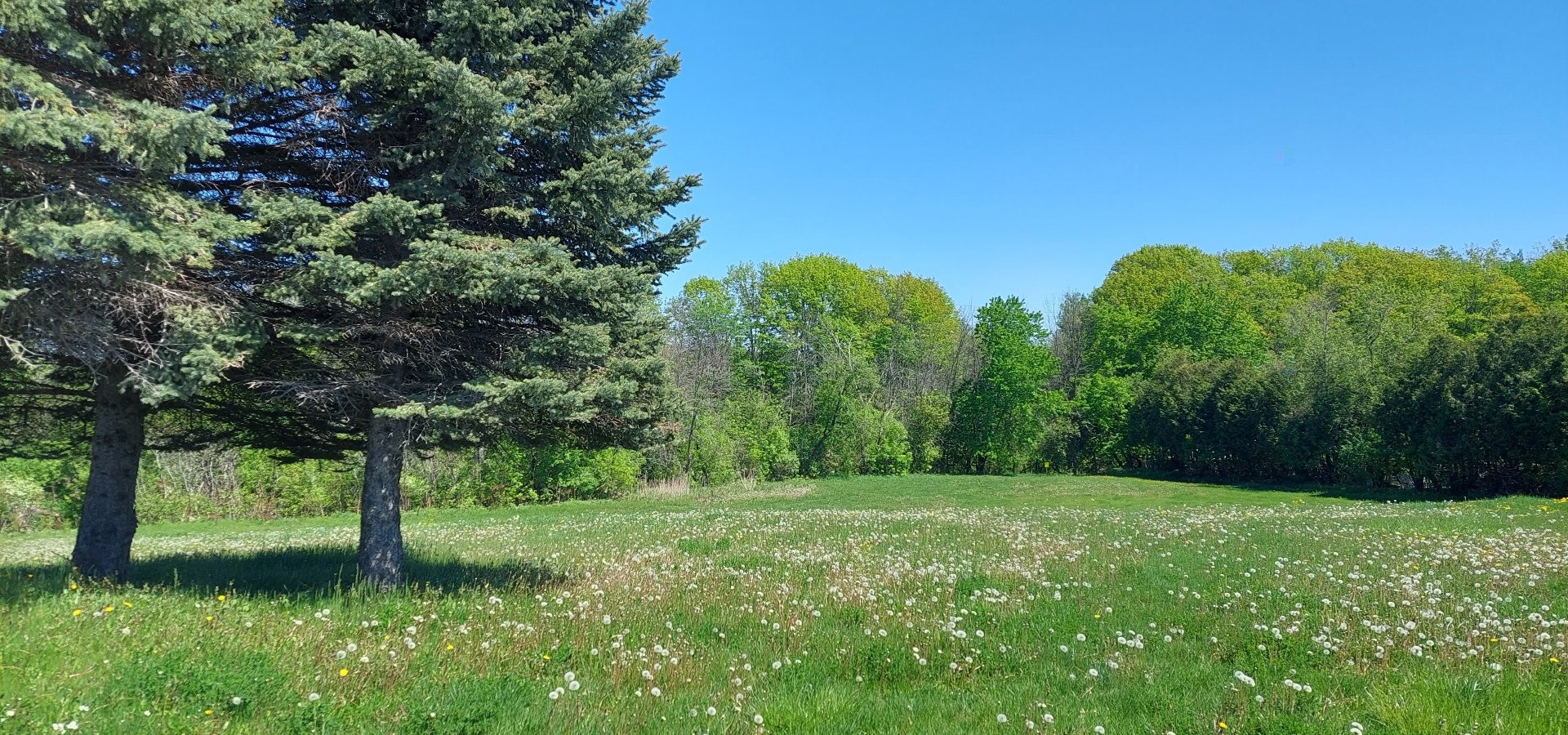 Extérieur - 175 Rue Louis-Hébert, Mascouche, QC - Outdoor