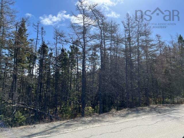 Highway 206, Martinique, NS