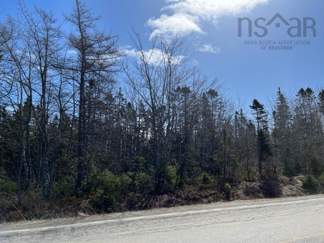 Highway 206, Martinique, NS