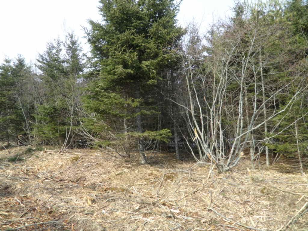 1V Highway 224, Elmsvale, NS