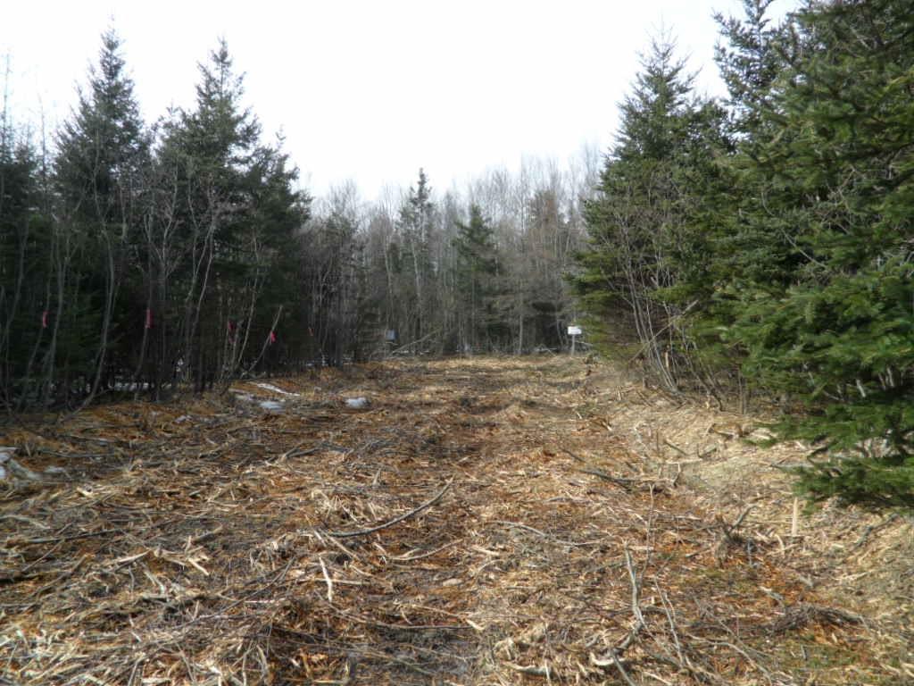 1V Highway 224, Elmsvale, NS