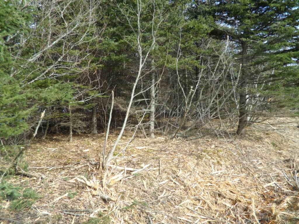 1V Highway 224, Elmsvale, NS